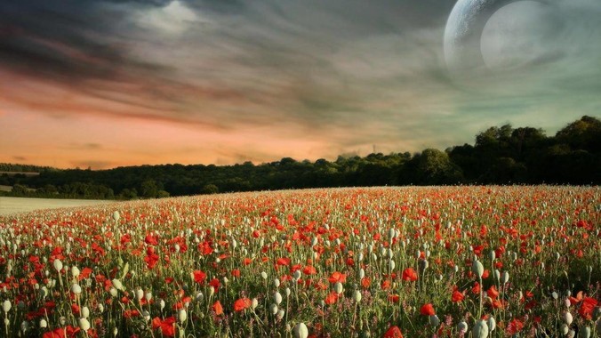 为什么我感觉Gemini 2.5 Pro模型有一种异常的强？